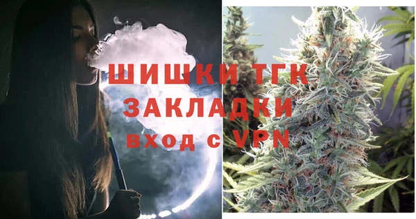 стаф Богданович